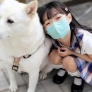 예솔
