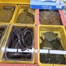 믿음상회 이미지