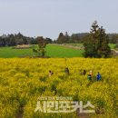 조한일 시인의 시차 없이 시 읽기 무작정의 봄/ 박기섭 시인 이미지