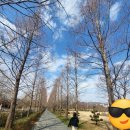 대연수목전시원 화장실 네이버블로그
