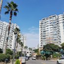 노형주공아파트 (S중앙병원방면) | 제주도대단지아파트/노형뜨란채/매매/전세/년세