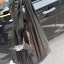 이대조 뼈다귀 이미지