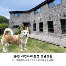 빵귤맨숀 이미지