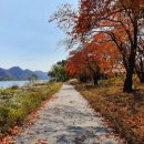 대성관광지 이미지