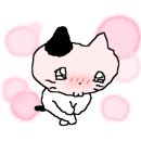 두동한우식육식당 이미지
