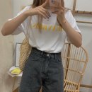 티디바이오 이미지