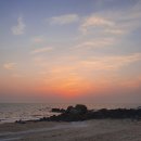 숲속시골길민박 이미지