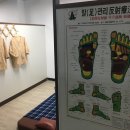 내손안마원 이미지