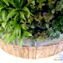 구산유치원 이미지