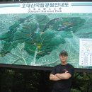 월정사 입구 이미지