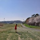 파나시아 cc 이미지