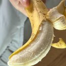 근성농장 이미지