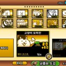 주식회사 에쓰디 이미지