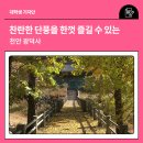 상지은니 묘법연화경 권2 | 찬란한 단풍을 한껏 즐길 수 있는 천안 광덕사