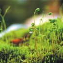 손주약국 이미지