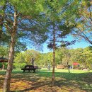황학산수목원 이미지