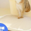 씨알알 네이버블로그