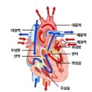 만덕약국 이미지