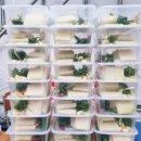 서울거여초등학교 이미지