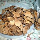 빨간돼지 이미지