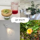 옥동행정복지센터 화장실 | (울산) 울산 앙꼬아지 옥동 카페 울산 빵지순례 베이커리 카페 울산 남구 브런치 맛집 울산 케이크 맛집...