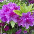 초원가든 이미지