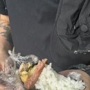 (주)와이키키 커피전문점 | 하와이 와이키키 이야스메 무스비, 하와이 무스비 맛집 N차 방문 후기