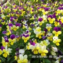 선산대로-10 이미지