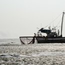 선두5리항 이미지