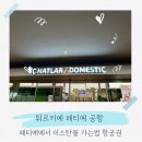 270-2506 | 페티예에서 이스탄불 항공권 가격 터키항공 탑승 후기