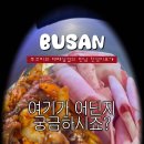 대패가조아