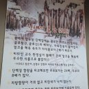 돌석이네해장국 | [양산 통도사 주변 맛집] 진부령 황태구이 맛있게 먹고온 후기