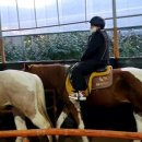 진스스포츠아카데미 이미지