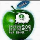 04월26일(목) 신문을 통해 알게된 이야기들 이미지