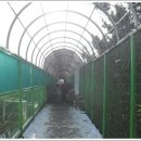 소래철교 이미지