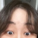 디데이브로우 이미지