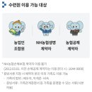 농협건물(농협은행) | NH농협은행 제주수련원 수영장 후기(총정리!!!!)