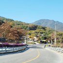 화왕산민박 이미지