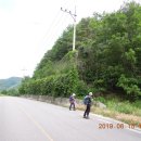 길안청송로(길안면) 이미지