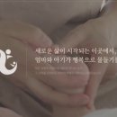 [아임웹제작][크몽제작] 레지나산후조리원 판교점