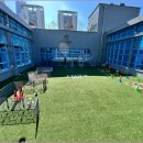 도그유토피아 이미지