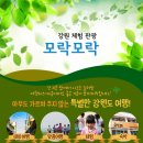 강원도협동조합감자여행