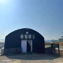 여름꽃농장 | 대구 근교 아이랑 시골체험 l 숨쉴꽃 허브체험농장