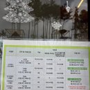 옥룡숲속의아침 | 구봉산 숲속야영장 뷰 좋은 광양 캠핑장 (시설정리, C8 C9 사이트)