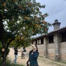 대바늘 뜨개 | 초보 뜨개 도안 추천 코바늘 통통 네잎클로버 뜨개벨트 대바늘파우치 후기