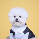 루체테스튜디오 이미지