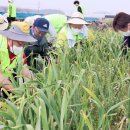 농협중앙회파주시지부 이미지