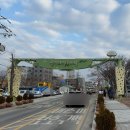 큰가람목장 | 양평 두물머리 해돋이 명소 물안개 일출 서울 근교 가볼만한곳 추천 카페 가람 원조 연핫도그 주차 정보