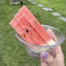 240810 양평 용문사 템플스테이(체험형) 솔직후기, 용문사 카페 전통다원 &#39;미르&#39; 옛날팥빙수