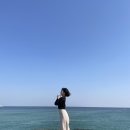 해안로1355~정동1길2 주변 | 2박 3일 강릉여행 :: 주문진-안목해변-경포대-정동진 모두 갈 수 있는 뚜벅이 코스 추천